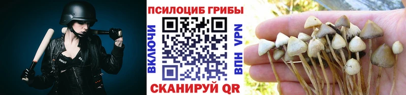 Галлюциногенные грибы Cubensis Петровск